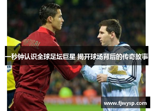 一秒钟认识全球足坛巨星 揭开球场背后的传奇故事